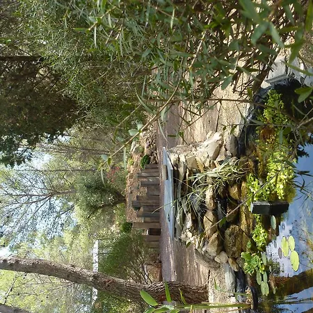 Le Clos Des Pins Bed & Breakfast Montferrier-sur-Lez