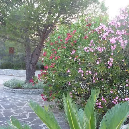 Le Clos Des Pins
