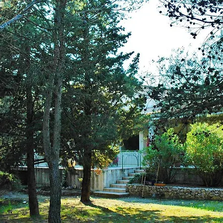Le Clos Des Pins