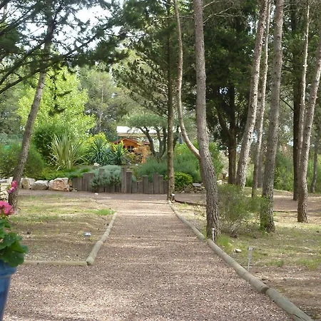 Bed & Breakfast Le Clos Des Pins Montferrier-sur-Lez