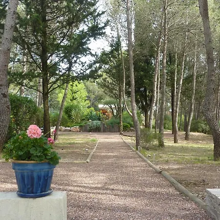 Bed & Breakfast Le Clos Des Pins Montferrier-sur-Lez