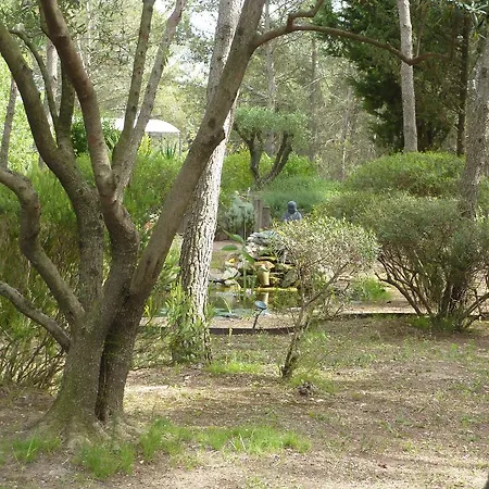Le Clos Des Pins