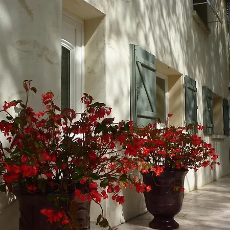 Le Clos Des Pins