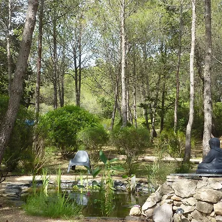 Bed & Breakfast Le Clos Des Pins Montferrier-sur-Lez