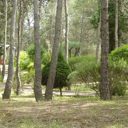 Bed & Breakfast Le Clos Des Pins Montferrier-sur-Lez