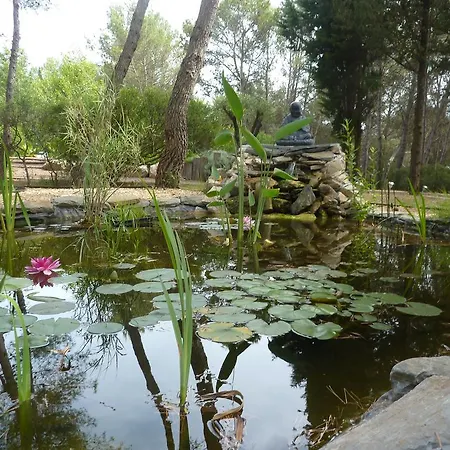 Bed & Breakfast Le Clos Des Pins *