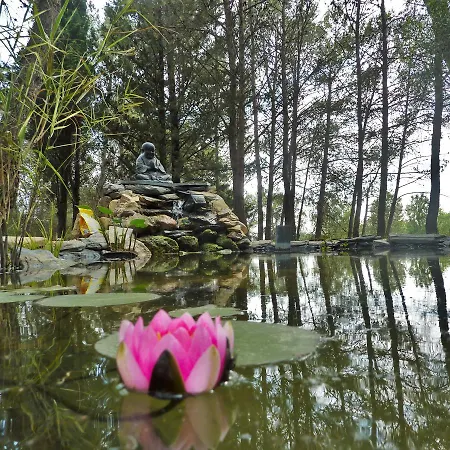 Le Clos Des Pins Bed & Breakfast Montferrier-sur-Lez